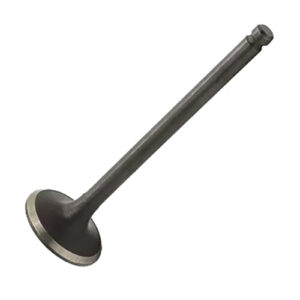 VALVULA ESCAPE INTRUDER125/YES125