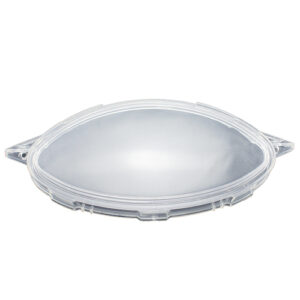 LENTE PAINEL BIZ100 99/05